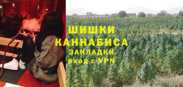 шишки Белоозёрский