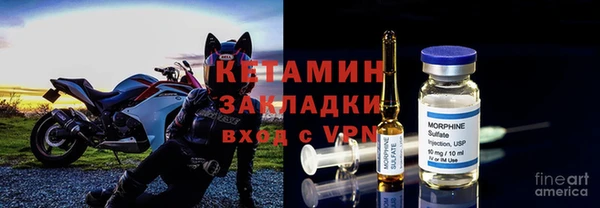 крисы Белокуриха