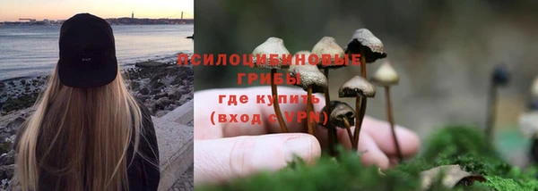 крисы Белокуриха