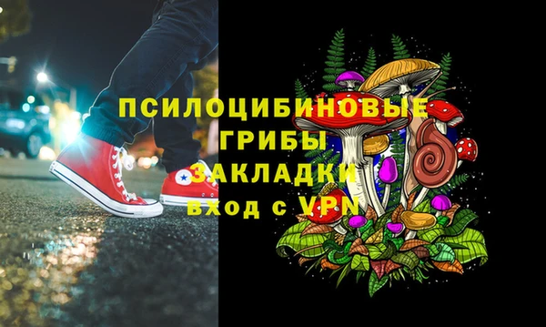 трава Беломорск
