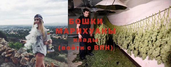 шишки Белоозёрский