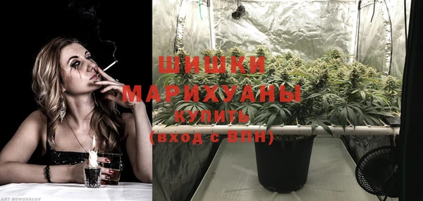 шишки Белоозёрский
