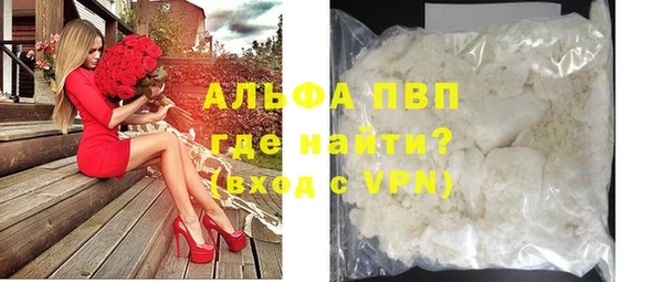 крисы Белокуриха