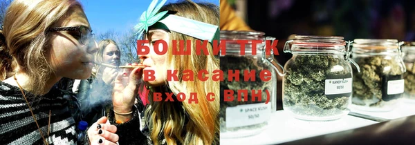 шишки Белоозёрский