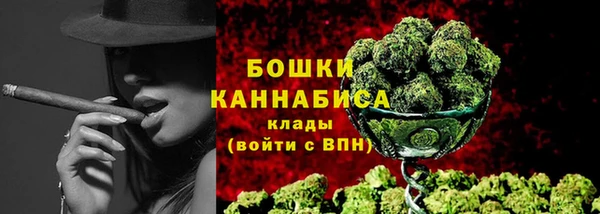 крисы Белокуриха