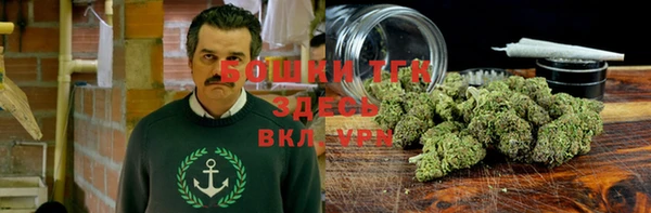 шишки Белоозёрский